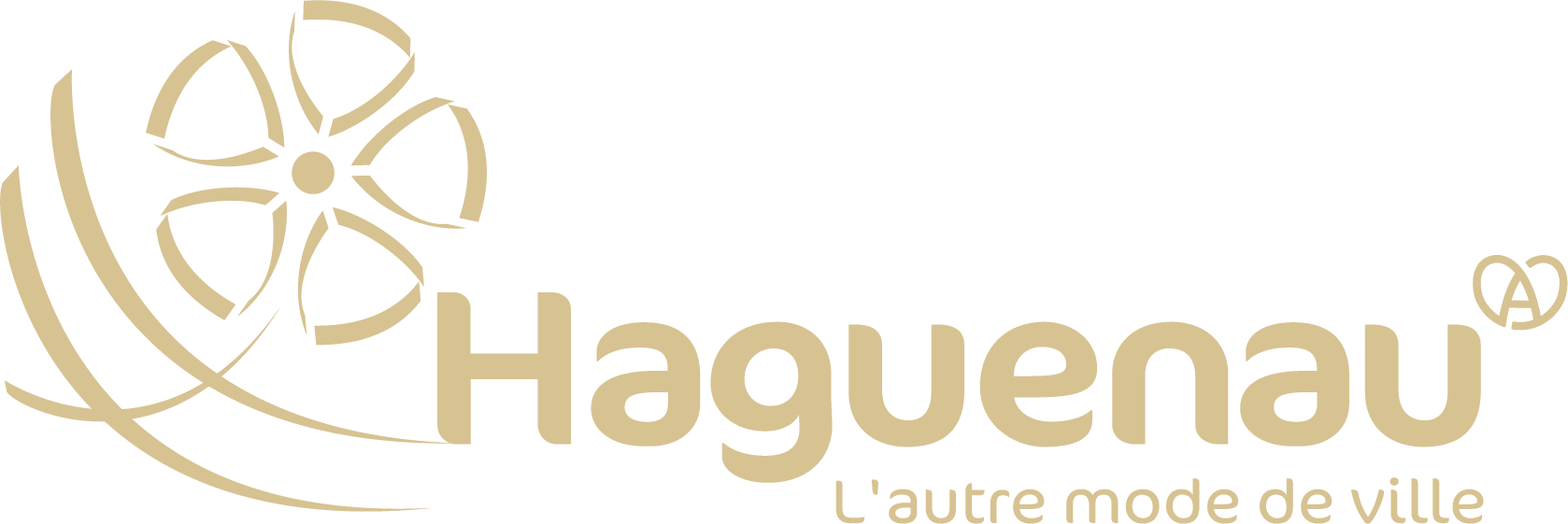 Ville de Haguenau retour à la page d'accueil